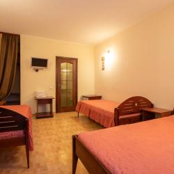 3-местный 1-комнатный номер стандарт эконом с 3 односпальными кроватями