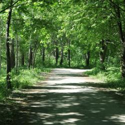 Фото Отель Три Медведя