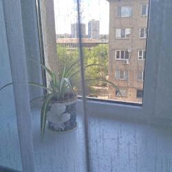 Фото Отель У трёх котов