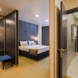 Номер полулюкс с 1 двуспальной кроватью