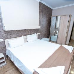 2-местный номер стандарт с 1 двуспальной кроватью