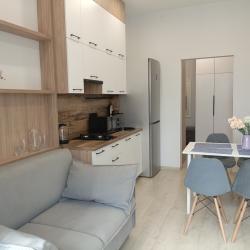 Фото Пятница Апартаменты на улице Гагарина 2 А корпус 2