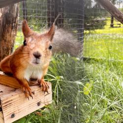 Фото Эко-отель Шанти