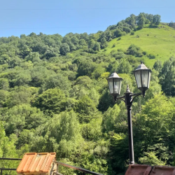 Фото Отель Медовые водопады