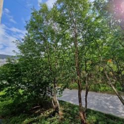 Фото Апартаменты на улице Олимпийская 69