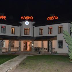 Фото Отель Алино
