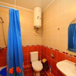 Фото Отель Гостевой дом Лев