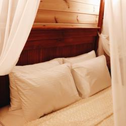 Фото Парк-Отель Березка