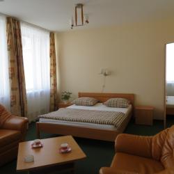 Номер полулюкс с 1 двуспальной кроватью