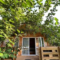 Фото Отель Коттеджный комплекс Неанила