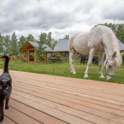 Фото Отель Стрелка Глэмпинг