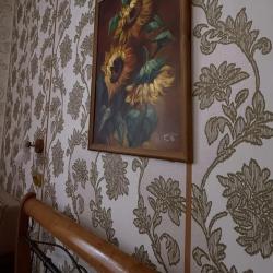 Русский лес — 631ba021f14eddfb5c12d38a5ac04842