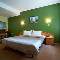 Фото Русский парк-отель