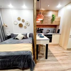 1-комнатные апартаменты студия