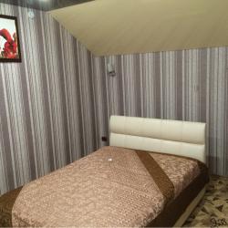 Фото Отель Астра