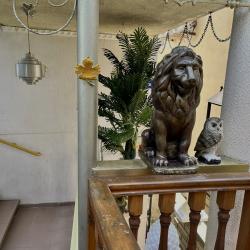 Фото Отель Панорама