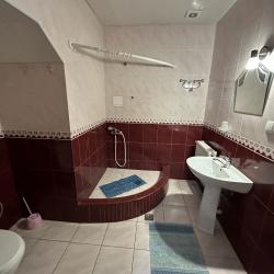 Фото Отель Лев