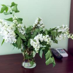 Солнечная — 637150543b7e8451f50af4a94b8f4eaa