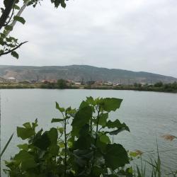 Номер студия с 2 односпальными кроватями