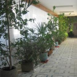 Фото Отель Профилакторий ПО Маяк