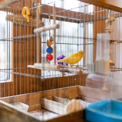 Фото Отель Гостевой дом Скворечник