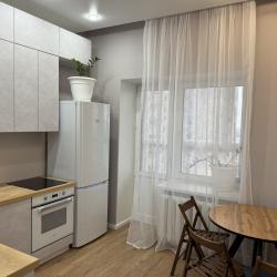 Фото Апартаменты на улице Менделеева 229 к1
