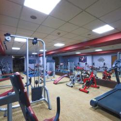 Фото Отель Damas (Дамас)