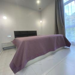 2-комнатные апартаменты улучшенные Апартаменты Green Palace 26