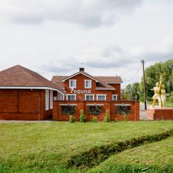 Фото Отель Родина