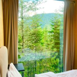 Фото Отель Телецкое Золотое