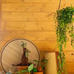 Коттедж стандарт