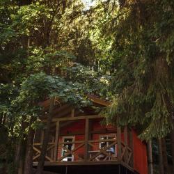 Фото Отель Зобовские дачи