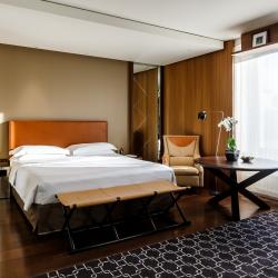Ararat Park Hotel Moscow (Арарат Парк Хаятт Москва) — 63e74e4a7b62bee761874d225e464e79