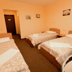 Номер стандарт с 3 односпальными кроватями с видом на город