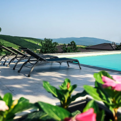 Фото Отель MONS (МОНС)