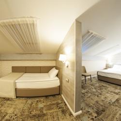 Номер стандарт семейный с 1 односпальной и 1 двуспальной кроватью (мансарда)