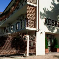 фото 5 Kesea Family (Кесеа Фэмили)