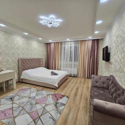 1-комнатные апартаменты студия