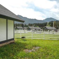 Фото Отель Альпинс residence