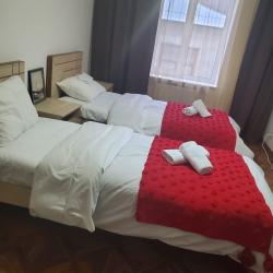 Номер стандарт с 2 односпальными кроватями (общие удобства)