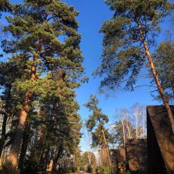 Фото Отель Солнечная на Оке