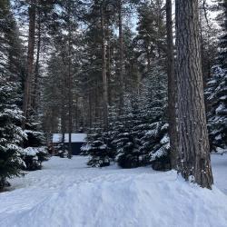 Фото Отель Триумф