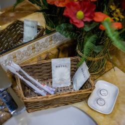 Фото Отель Метелица