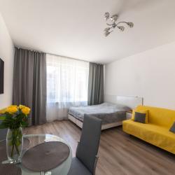 фото 36 Rental (РенталСПб) на улице Среднерогатская 9