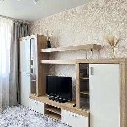 1-комнатные апартаменты стандарт Рязань, олимпийский городок, 3