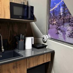 Купольный дом WOOD