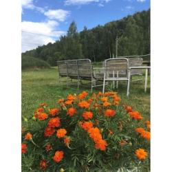 Фото Отель Сельская Усадьба ка