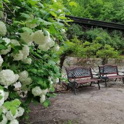 Фото Отель Примула