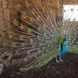 Фото Отель Остров Колочный