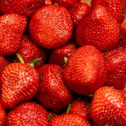 Фото Отель Sarhad Hotel Bukhara (Сархад )